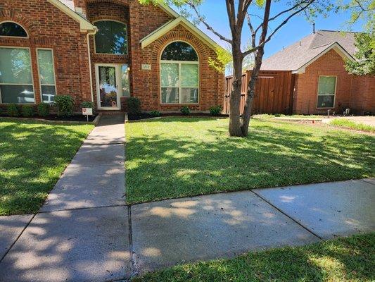 Sod installation