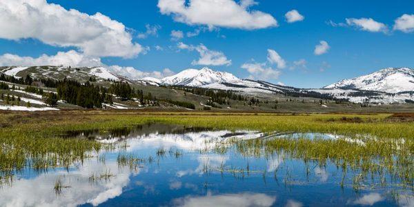 Swan Lake in Yellowstone.