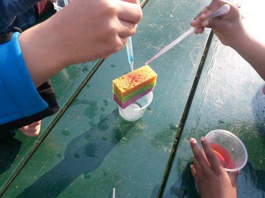 We like to do lots of hands on science projects.  Here, we are learning about how clouds form and why it rains.