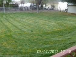 Yard and Lawn Services