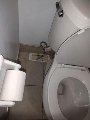 Mouse trap behind the toilet