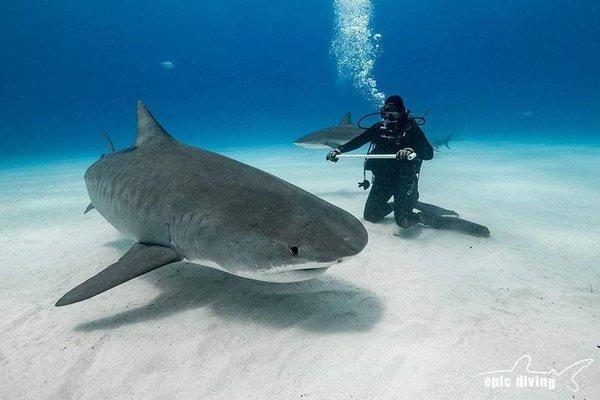 Me, with Emma (phot by EPIC DIVING)