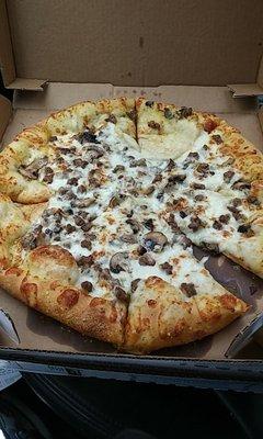 This was supposed to be a Large Brooklyn Pizza with extra cheese, extra beef, and mushrooms.