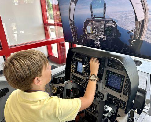 Interactive flight simulator