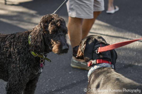 Roswell Farmers and Artisans Market