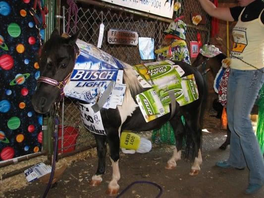 Horse in costume contest