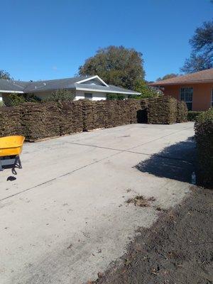 We installed 11 pallets of sod around the whole property