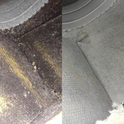 Mold in Return Plenum