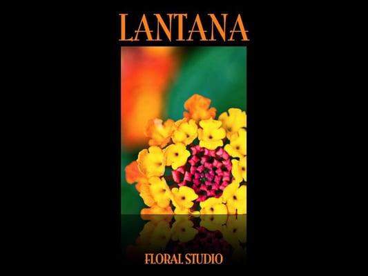 Lantana Studios