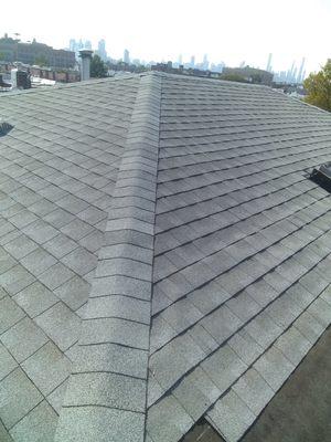 Shingle Roof