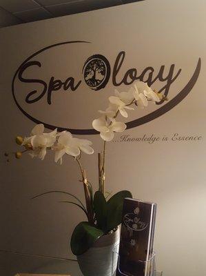 Welcome To SpaOlogy