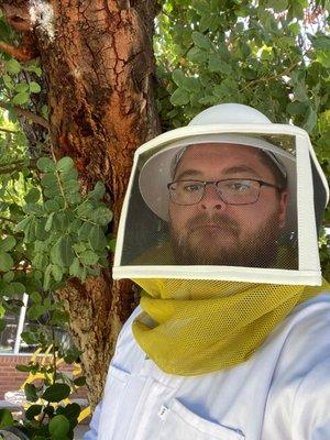 Justin going after some bees