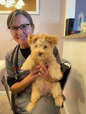 Dr. Barb Wolfe and Ziggy the most adorable Maltese mix!