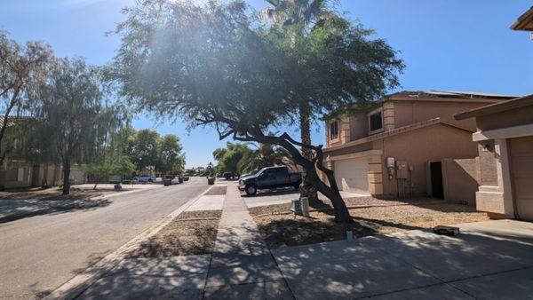 This is a finished project (see other picture for cleanup), I trimmed this tree to give it 12+ feet of clearance according to city code.