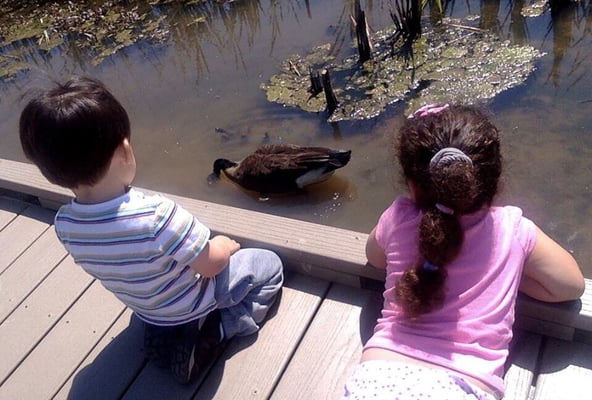 Checking out the geese.