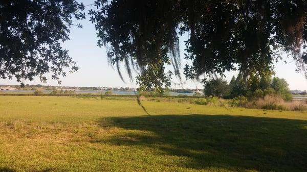 View of a lake that some of the rooms have from the lanai.