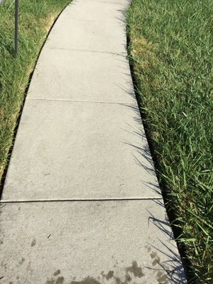 Clean concrete walkway in Pikesville.