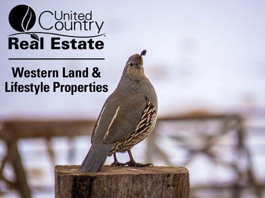 United Country Real Estate Western Land & Lifestyle Properties