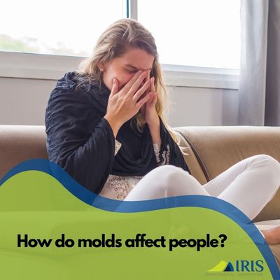 Molds are usually not a problem indoors, unless mold spores land on a wet or damp spot and begin growing.