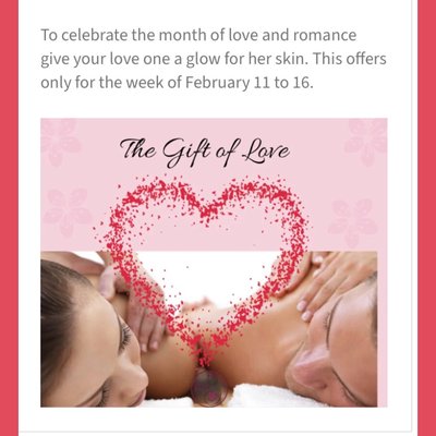 Get your special love one a relaxing Facial at Luxury SPA2GO.