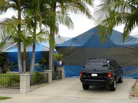 Fumigation (tenting) to eradicate dry wood termites, bed bugs or general pest control.