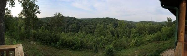 Trees as far as the eye can see