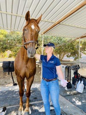 Equine Veterinary Associates