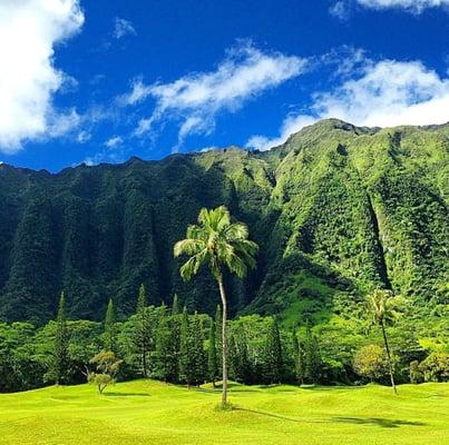 Koolau Toughest Golf Course