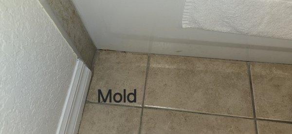 Mold in master bathroom