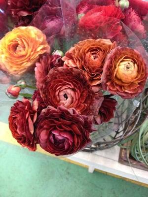 Incredible ranunculus at Fleurametz!  No one else had these in these colors.