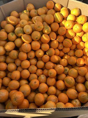 Fresh oranges and very sweet