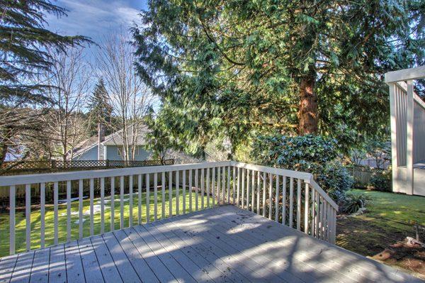 Our private backyard with multi-tiered entertaining deck and hot tub (not shown).