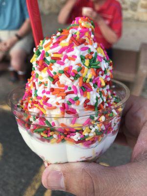 Wonderful cup of ice cream w/ lots of rainbow sprinkles .