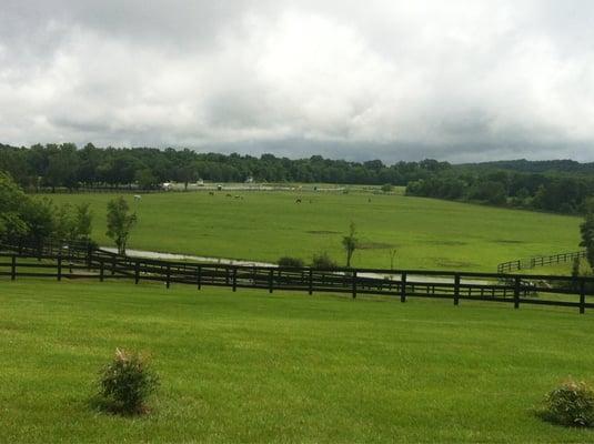 Virginia countryside