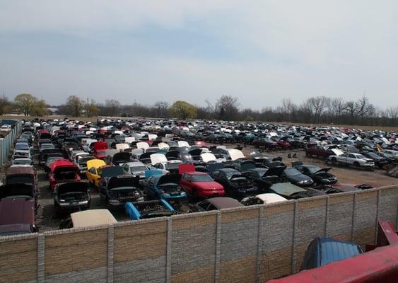 We have over 2000 used auto parts vehicles in two lots, one stocked with domestic cars and the other with imports.