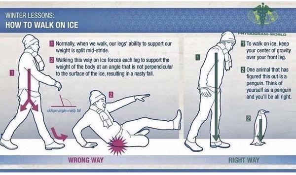 Be careful walking on the snow! (image from @physiogram)