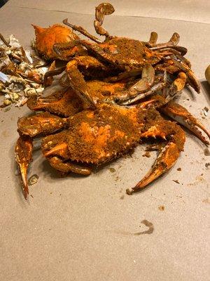 Medium Male Crabs