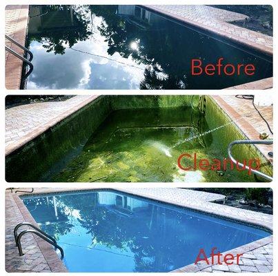 Another green pool cleaned out!