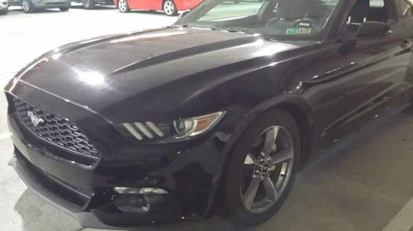 Black Mustang from Avis at MDT