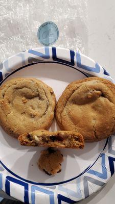 Two fresh chocolate chip cookies