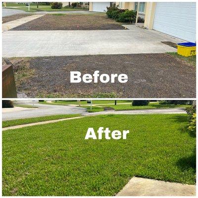 Sod removal and installation