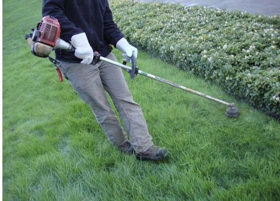 We trim your lawn so you don't have to