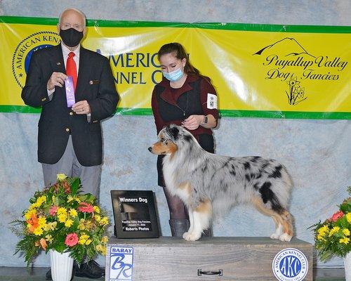 Me with one of my Australian Shepherd's!