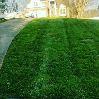 Fresh cut lawn