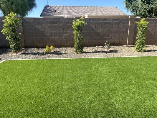 Back yard turf, rocks, trees, plants