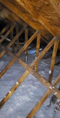 Does your attic look this good?