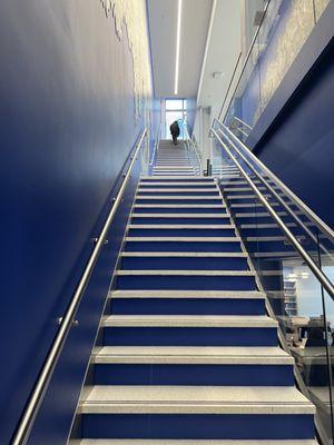 Stairs up to children's space, down to Teens and adults