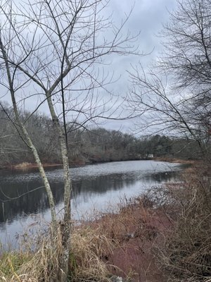 Pawcatuck River from within the Whitely Preserve