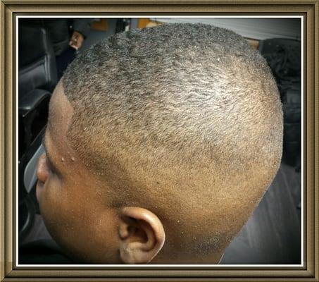 Bald/Skin fade