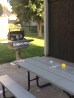 The condition of the picnic tables at Ventura Del Sol.